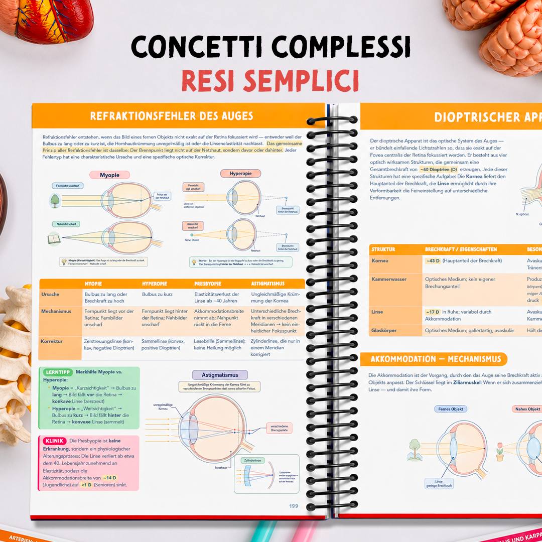 Band 2 — Physiologie & Physik — concetti complessi resi semplici