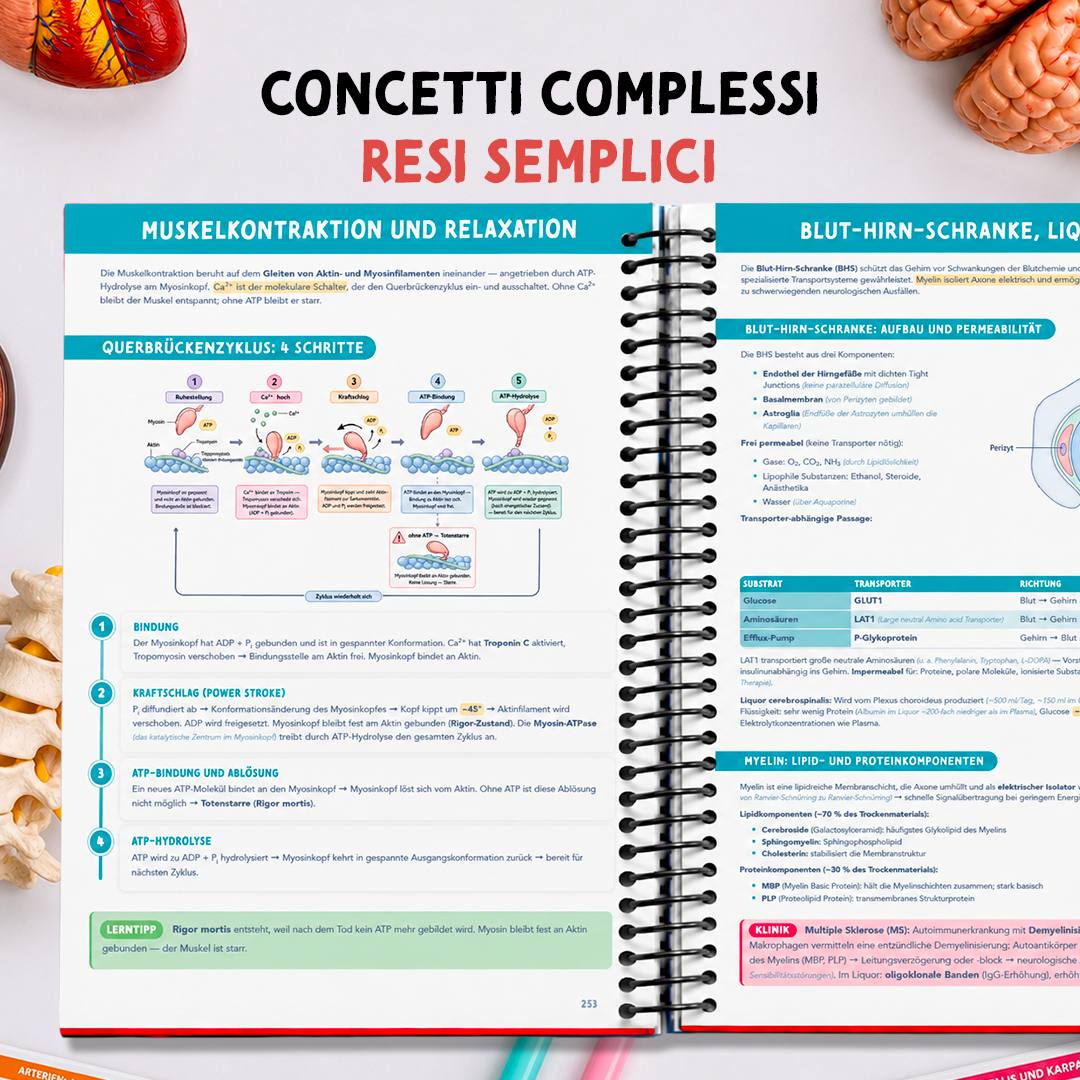 Band 3 — Biochemie & Chemie — concetti complessi resi semplici