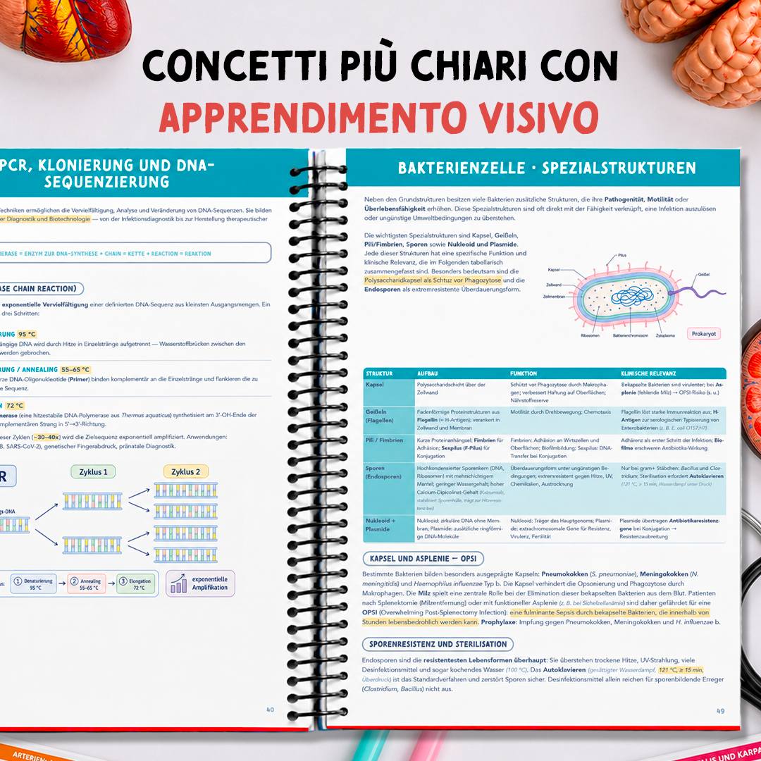 Band 4 — Biologie & PsychSoz — apprendimento visivo a colori