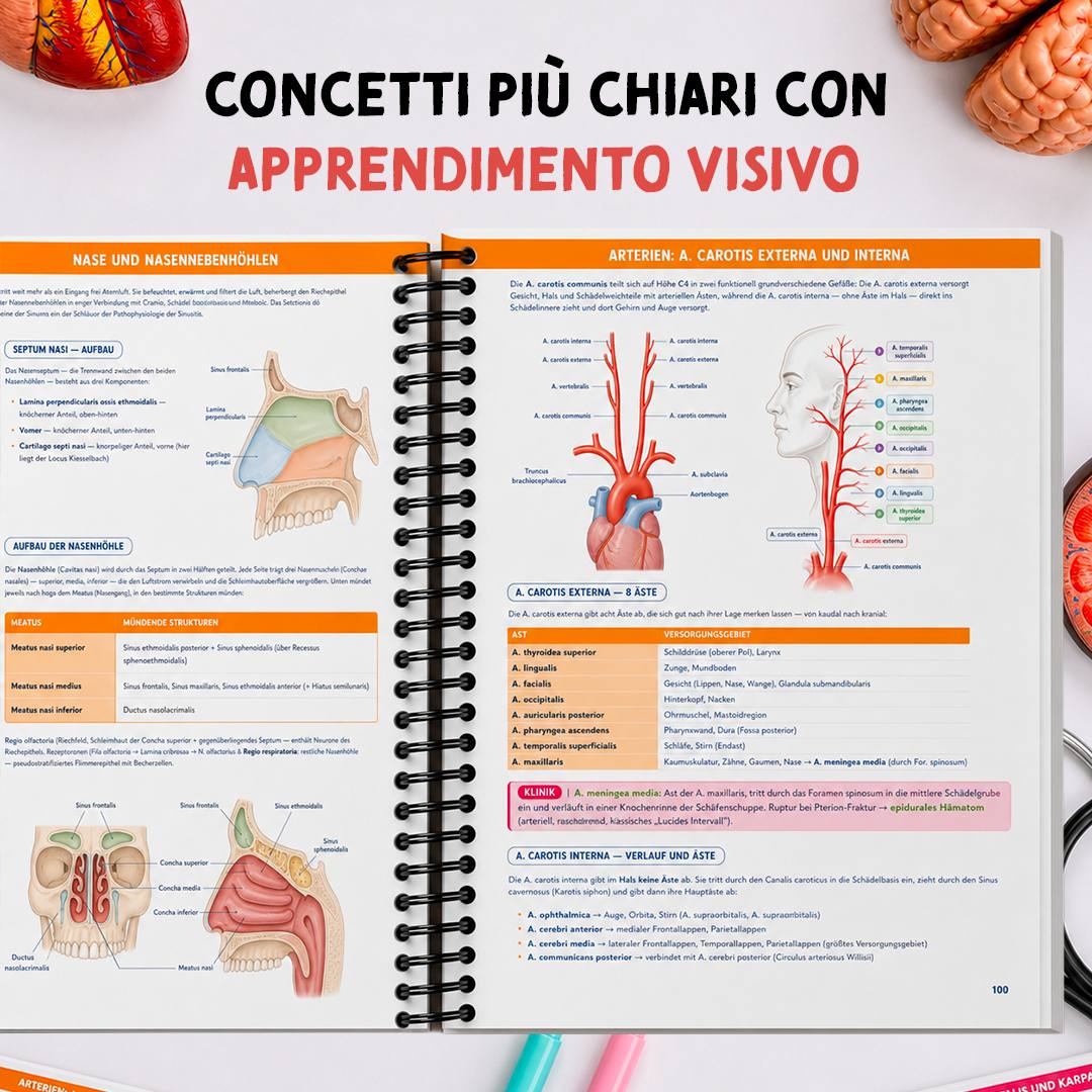 Pagine interne: apprendimento visivo a colori