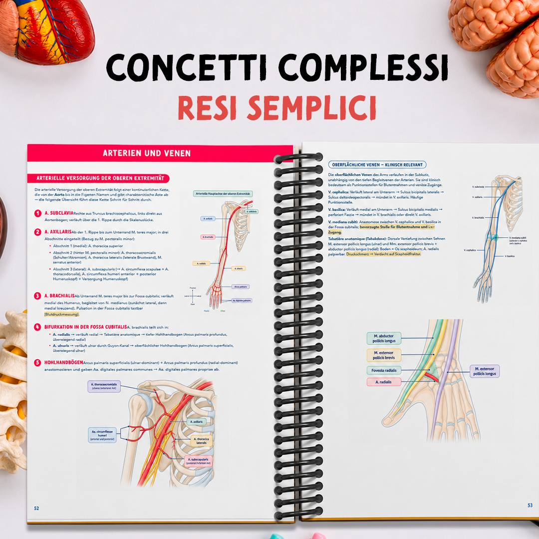 Pagine interne: concetti complessi resi semplici