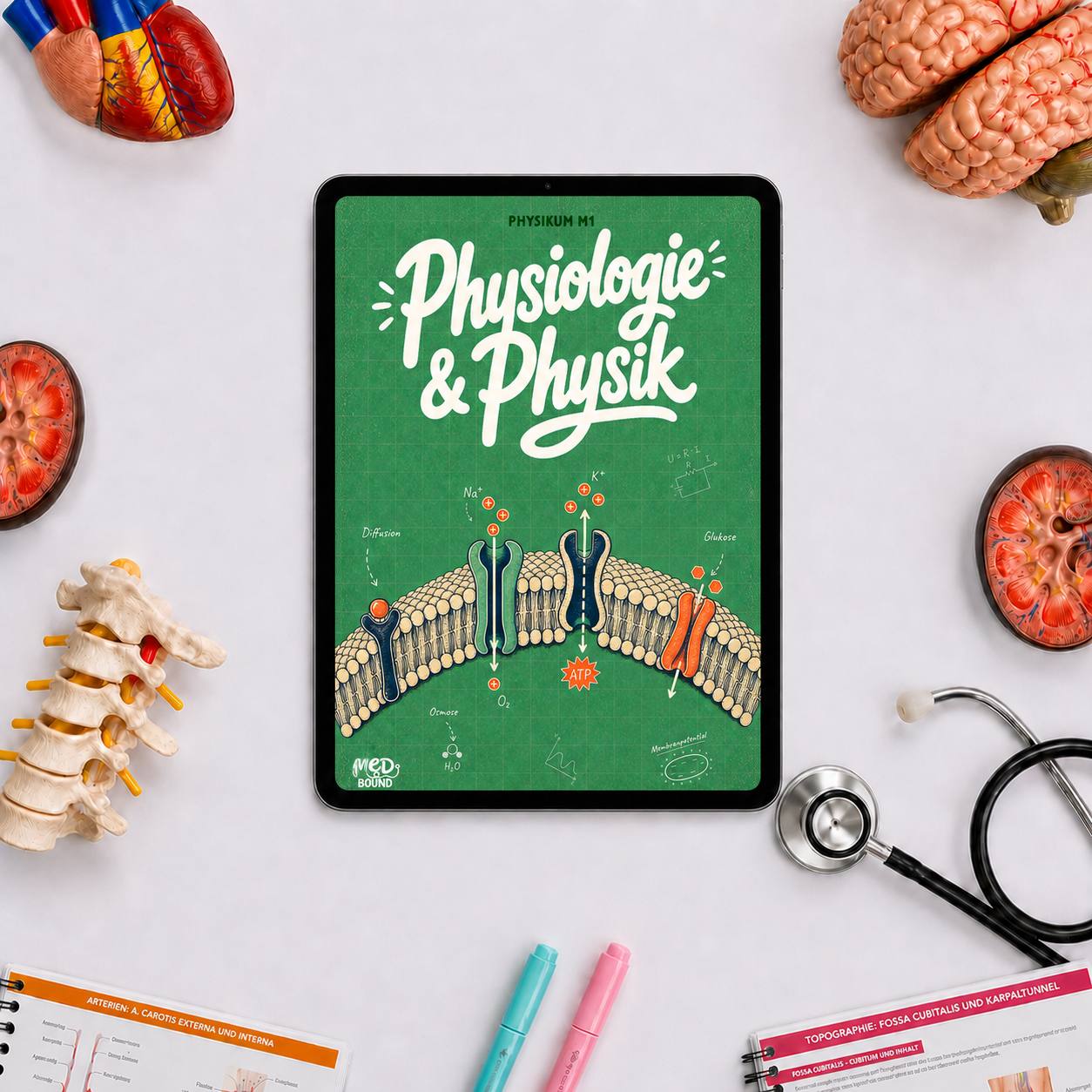 Band 2 — Physiologie & Physik — E-Book-Version auf dem Tablet