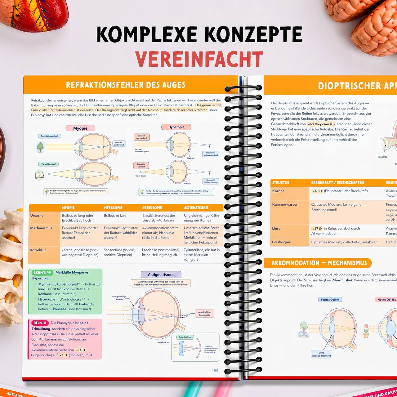 Band 2 — Physiologie & Physik — komplexe Konzepte einfach erklärt