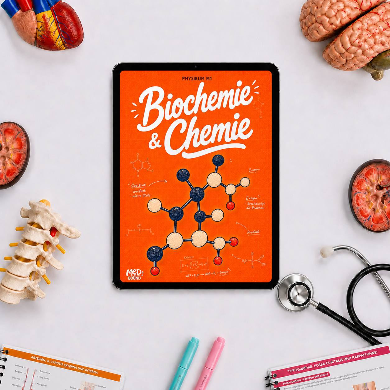 Band 3 — Biochemie & Chemie — Ebook-Version auf dem Tablet