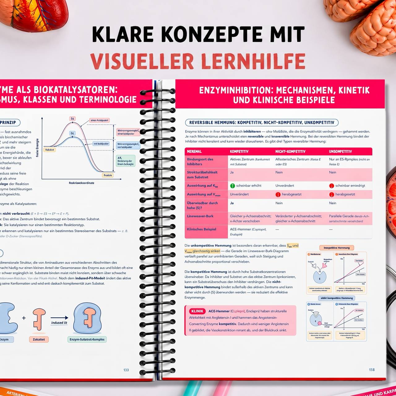Band 3 — Biochemie & Chemie — visuelles Lernen in Farbe