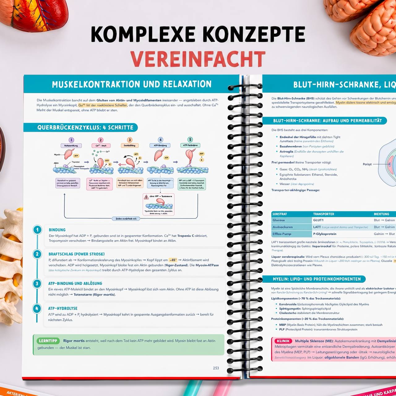 Band 3 — Biochemie & Chemie — komplexe Konzepte einfach erklärt