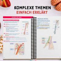 Innenseiten: komplexe Konzepte einfach erklärt