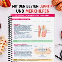 Innenseiten: die besten Merktricks und Eselsbrücken