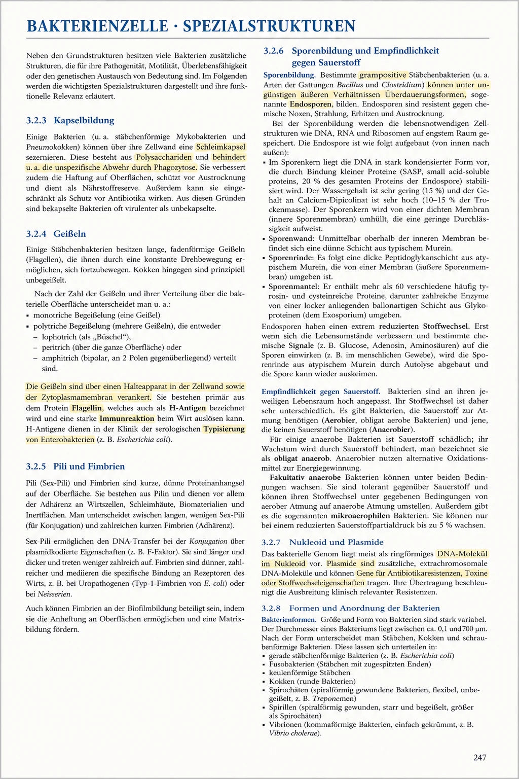 Ein dichtes, unlesbares Lehrbuch