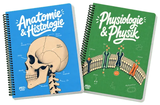 Grundlagen-Bundle: Anatomie & Histologie + Physiologie & Physik