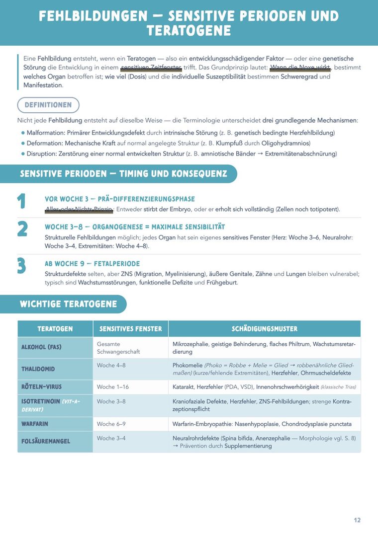 Innenseite Anatomie — Fehlbildungen