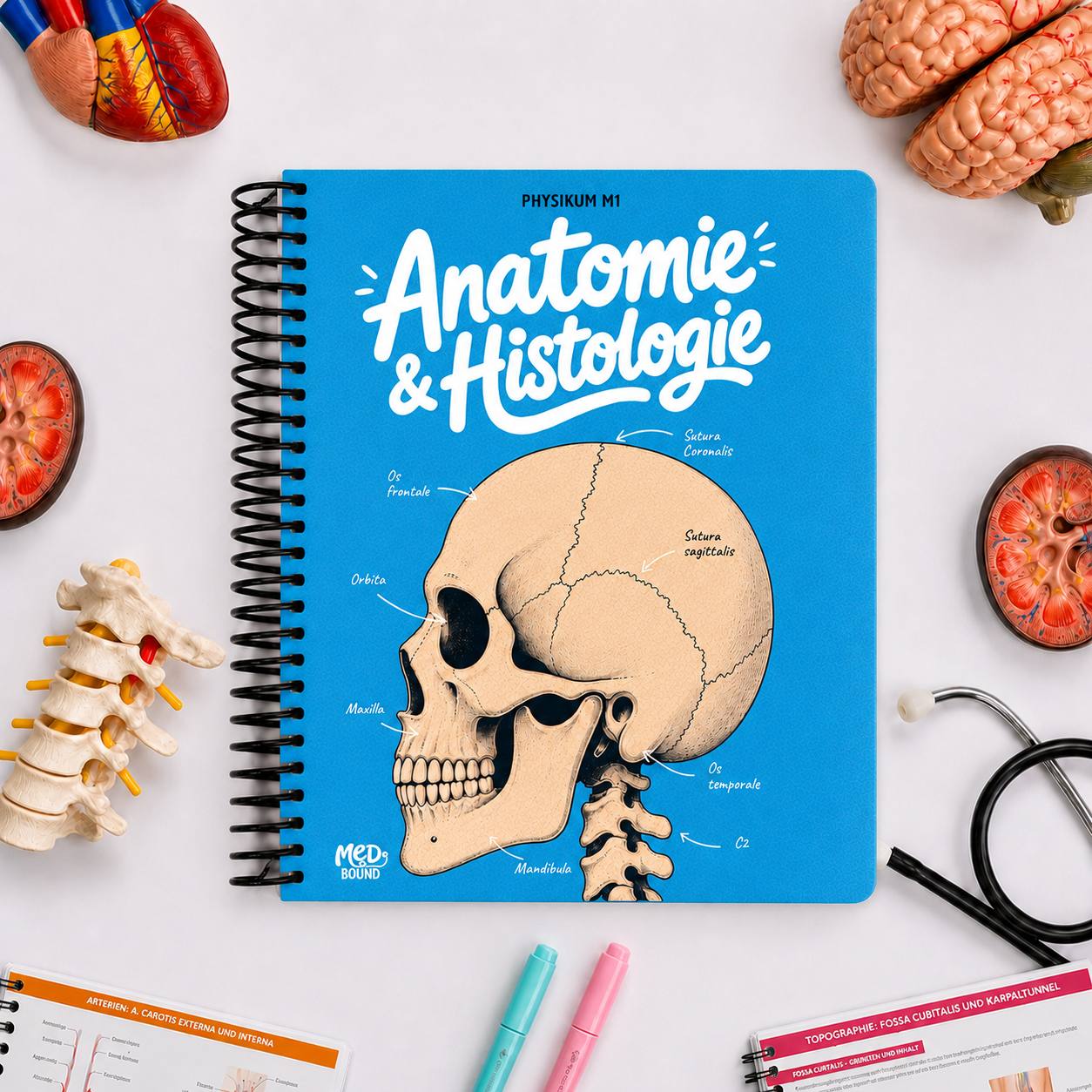 Band 1 — Anatomie & Histologie