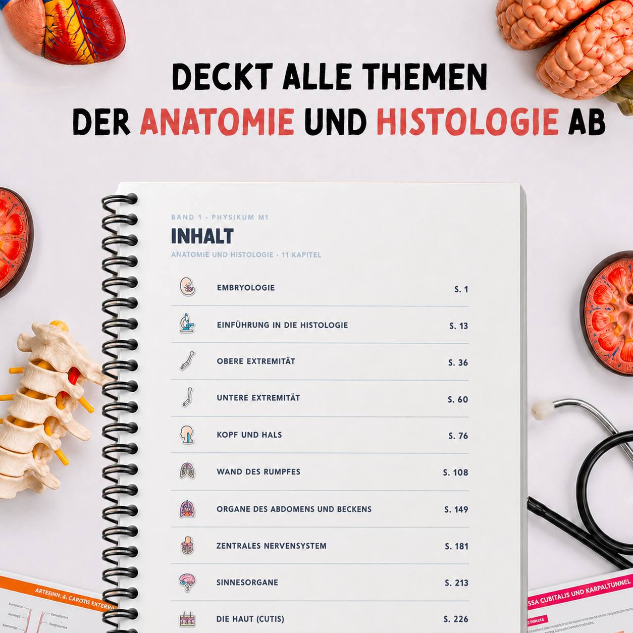 Band 1 — Anatomie & Histologie
