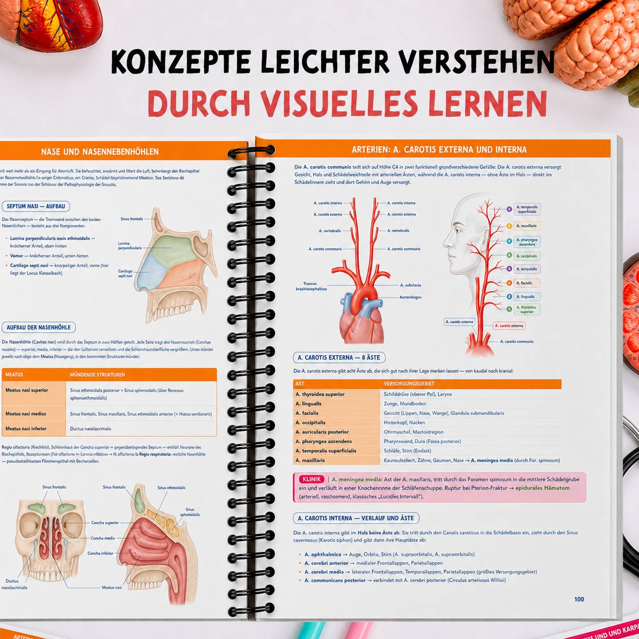 Band 1 — Anatomie & Histologie