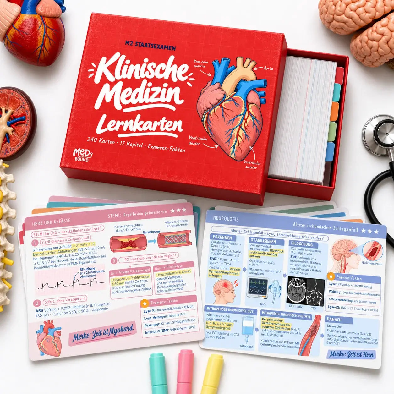 Klinische Medizin – M2 Lernkarten: die Lernkarten in der Box, davor die Karten zu STEMI und Schlaganfall
